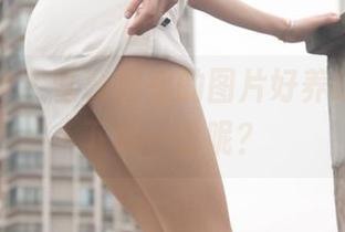 梦丝女神 – 雪馨姐姐的图片好养眼，咋不下载一份呢？